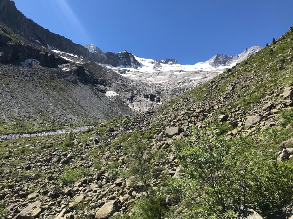 Schutzhütte Alpenrose